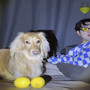 나는 너의 여름, 너는 나의 레모네이드 (I'm your summer, you are my lemonade)
