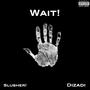 Wait! (feat. Dizadi) [Explicit]