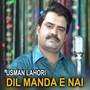 Dil Manda E Nai