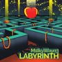 Labyrinth (Explicit)