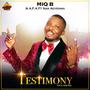 Testimony (feat. A.F.A & Naa Agyeman)