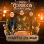 Puros Corridos De Puño Y Letra (Explicit)