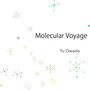 Molecular Voyage