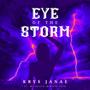 Eye of the Storm (feat. Mauricio Mirapalheta)