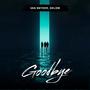 Goodbye (Extended Mix)