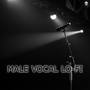 Male Vocal Lo-Fi