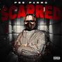 SCARRED (Explicit)