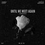 Until We Meet Again (Come Back) (feat. Munyasha)