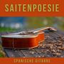 Saitenpoesie: Instrumentale Gitarrenmusik