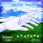 Electric Meadow