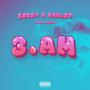 3 AM (feat. VDV Shelby & Prbad) [Explicit]