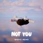 Not You (Remix) [Explicit]