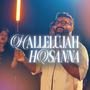 Hallelujah Hosanna (feat. Immanuel Henry, Robinson Shalu, Philemon Anand, Earnest Abraham, Sheenu Mariam, Jessy Robin & Sofia Stephen)