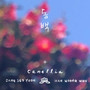 동백 (Camellia)