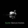 Slow Reflections