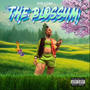 Blossum (Explicit)