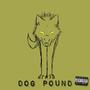 Dog Pound (Explicit)