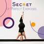 Secret of Perfect Exercises: Positive Attitude, Morning Rituals for Body, Calming Space for Yoga, Relaxing Meditation