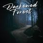 Darkened Forest