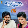 Madinemo Chirujallula (From 