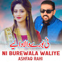 Ni Burewala Waliye