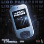 LIGO PARAPANW (Explicit)