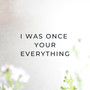 I Was Once Your Everything