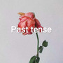 PAST TENSE