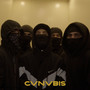 CVNVBIS (Explicit)