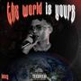 The World Is Yours (Explicit)