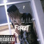 NightYouWon'tForget (Explicit)