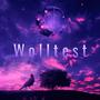 Wolltest (Explicit)