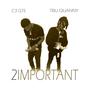 2 Important (Explicit)