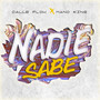 Nadie Sabe