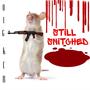 Still Snitched (feat. OTG Doughboy & SB Flizzo) [Explicit]