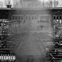 It's All Mental (Explicit)