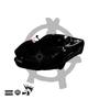 MURDERS (Explicit)