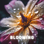 Blooming