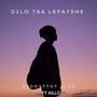 Dilo tsa lefatshe (feat. KIDDYTTOT & KILLO G)