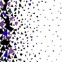 Echo Chambers