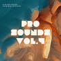 Pro Sound, Vol. 4