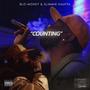 Counting (feat. Blo-Money & Slimmie Hauffa) [Explicit]