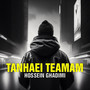 Tanhaei Teamam | تنهایی تیمم