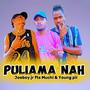 Puliama Nah (Joeboy jr, Muchi x Young pii)