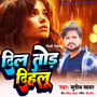Dil Tod Dihalu