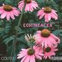 Echinacea (Explicit)