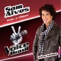 Pais E Filhos (The Voice Brasil)