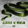 LIBRE Y MALA (Explicit)