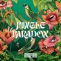 Jungle Paradox (Explicit)