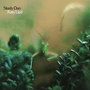 Katy Lied